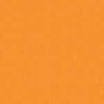 Stamskin Top - Orange (20127)
