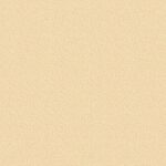 Stamskin Top - Beige (20130)