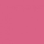 Stamskin Top - Fuchsia (20149)