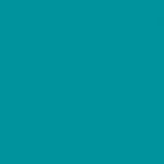 Stamskin Top - Turquoise (20157)