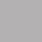 Stamskin Top - Fog (20161)