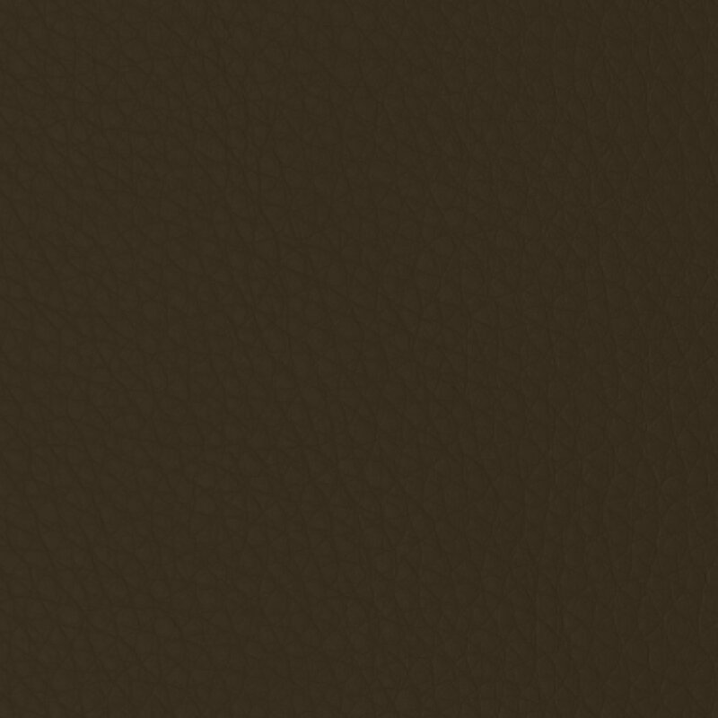 Cocoa