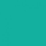Stamskin Top - Vert printemps (50454)