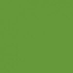Stamskin Top - Vert forêt (50620)