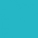 Stamskin Top - Aqua (5347)