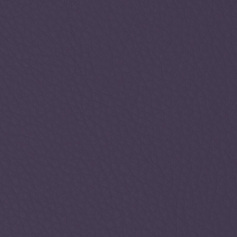 Aubergine