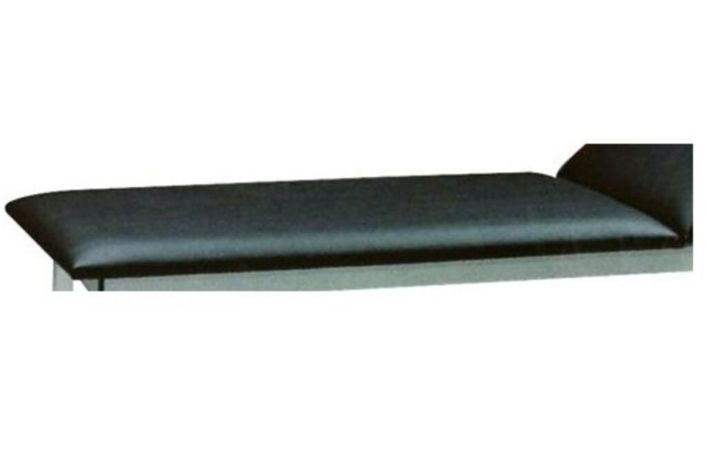 Back-section Simplex
